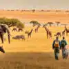 Walking Safaris in Kenya – A Unique Wildlife Experience